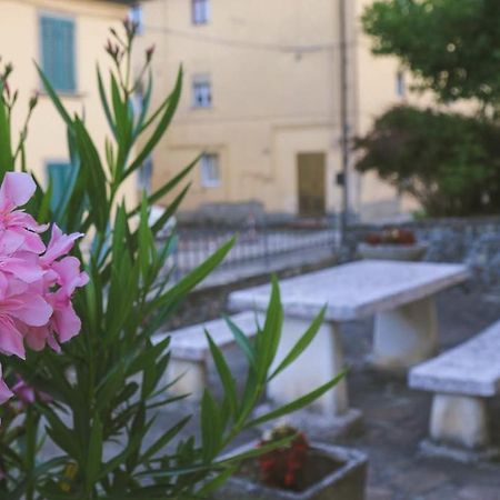 Casa Con Giardino In Mugello A 30 Minuti Da Firenze "Soleluna" Osteria di Novoli Exterior photo