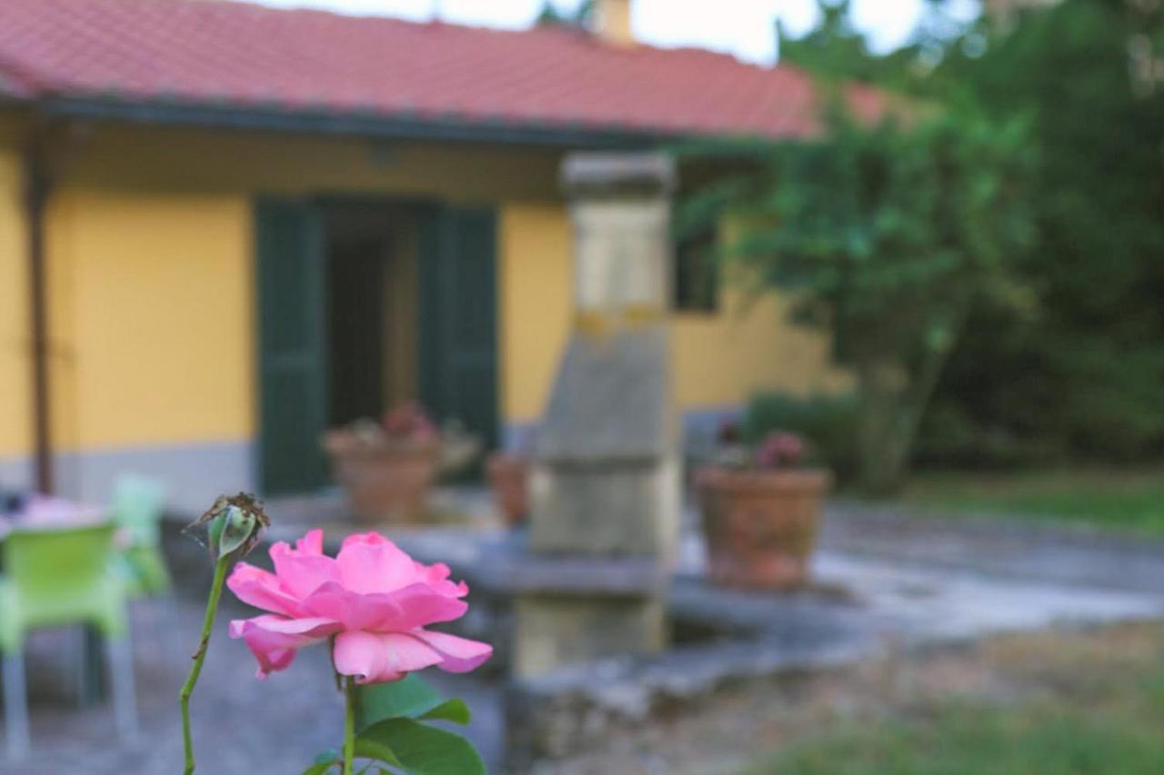 Casa Con Giardino In Mugello A 30 Minuti Da Firenze "Soleluna" Osteria di Novoli Exterior photo